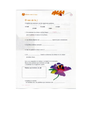 Español actividades cuarto grado 93