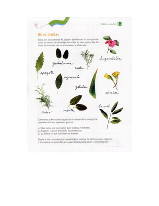 Español actividades cuarto grado 93