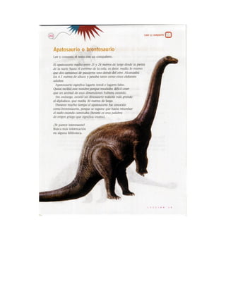 Español actividades cuarto grado 93