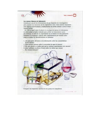 Español actividades cuarto grado 93