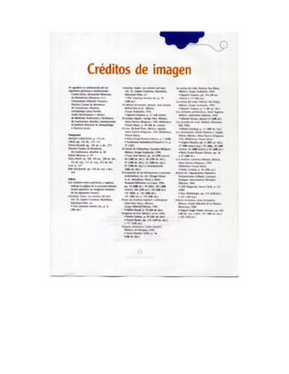 Español actividades cuarto grado 93