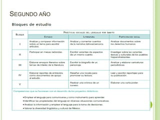 SEGUNDO AÑO
 
