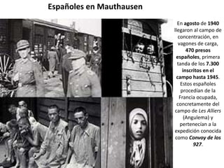 Españoles en Mauthausen
                            En agosto de 1940
                          llegaron al campo de
                            concentración, en
                             vagones de carga,
                                 470 presos
                           españoles, primera
                            tanda de los 7.300
                               inscritos en el
                           campo hasta 1945.
                              Estos españoles
                              procedían de la
                             Francia ocupada,
                            concretamente del
                          campo de Les Alliers
                                (Angulema) y
                              pertenecían a la
                          expedición conocida
                           como Convoy de los
                                    927.
 