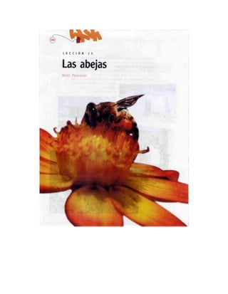 Español lecturas cuarto grado 93