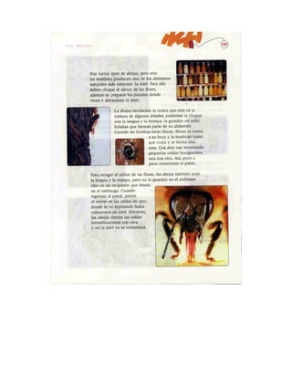 Español lecturas cuarto grado 93