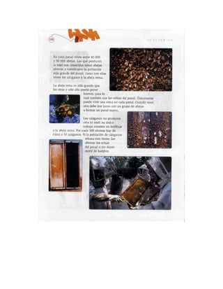 Español lecturas cuarto grado 93