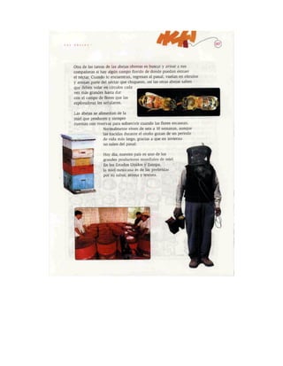 Español lecturas cuarto grado 93