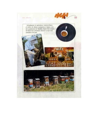 Español lecturas cuarto grado 93