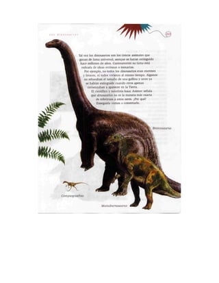 Español lecturas cuarto grado 93