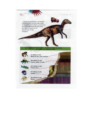 Español lecturas cuarto grado 93