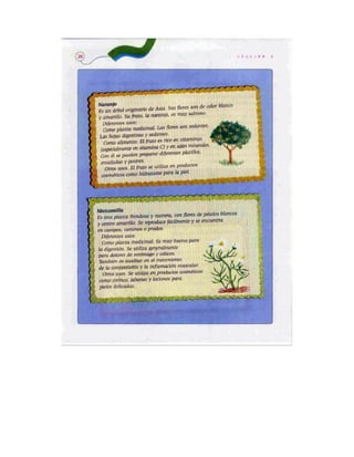 Español lecturas cuarto grado 93