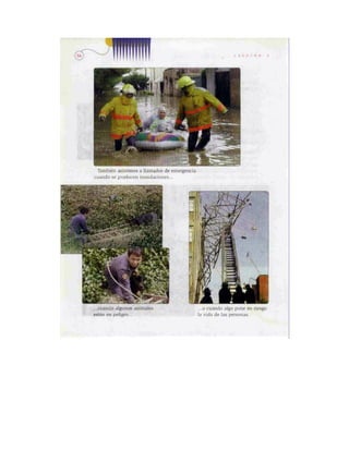 Español lecturas cuarto grado 93