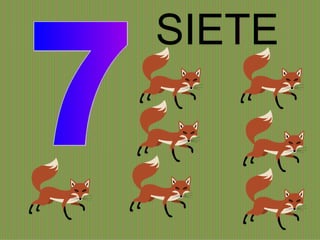 7 SIETE 
