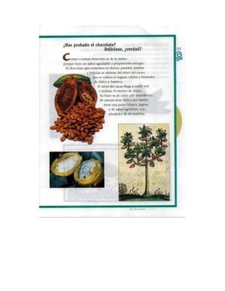 Español tercer grado lecturas