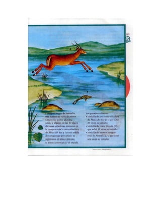 Español tercer grado lecturas