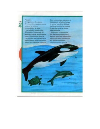 Español tercer grado lecturas