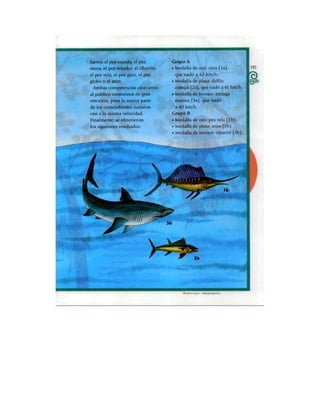 Español tercer grado lecturas