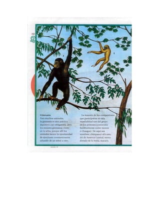 Español tercer grado lecturas