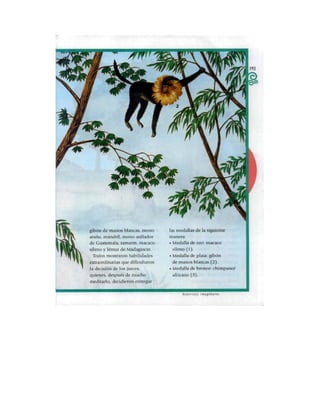 Español tercer grado lecturas