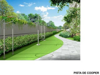 PISTA DE COOPER
 
