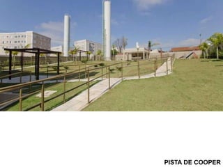 PISTA DE COOPER
 