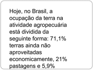 Hoje, no Brasil, a ocupação da terra na atividade agropecuária está dividida da seguinte forma: 71,1% terras ainda não aproveitadas economicamente, 21% pastagens e 5,9% lavoura. 