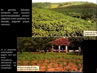 Apresentação elaborada pela Professora FERNANDA BRUM LOPES - Geografia
As grandes fazendas
compram mais Insumos
(sementes/adubos) porque
adquirem esses produtos no
atacado, pagando preços
menores.
Já as pequenas
propriedades
pagam caro por
essas
mercadorias,
dificultando sua
capacidade de
competição.
 