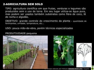 Apresentação elaborada pela Professora FERNANDA BRUM LOPES - Geografia
2-AGRICULTURA SEM SOLO
TIPO: agricultura científica em que frutas, verduras e legumes são
produzidos sem o uso de terra. Em seu lugar utiliza-se água pura,
mas podem ser usados também substratos como fibra de coco, lã
de rocha e algodão.
OBJETIVO: grande controle do crescimento da planta – quantidade de
fertilizantes, umidade, temperatura, etc...
USO: pouca mão-de-obra, porém técnicos especializados
PRODUTIVIDADE:pequena
 
