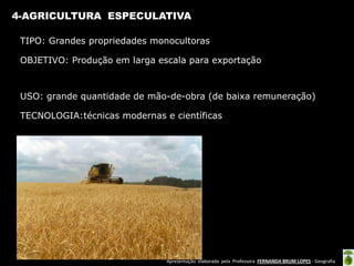 Apresentação elaborada pela Professora FERNANDA BRUM LOPES - Geografia
4-AGRICULTURA ESPECULATIVA
TIPO: Grandes propriedades monocultoras
OBJETIVO: Produção em larga escala para exportação
USO: grande quantidade de mão-de-obra (de baixa remuneração)
TECNOLOGIA:técnicas modernas e científicas
 