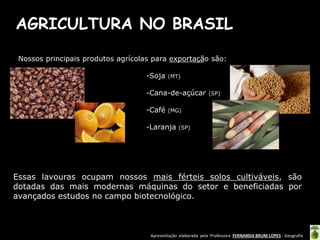Apresentação elaborada pela Professora FERNANDA BRUM LOPES - Geografia
AGRICULTURA NO BRASIL
Nossos principais produtos agrícolas para exportação são:
-Soja (MT)
-Cana-de-açúcar (SP)
-Café (MG)
-Laranja (SP)
Essas lavouras ocupam nossos mais férteis solos cultiváveis, são
dotadas das mais modernas máquinas do setor e beneficiadas por
avançados estudos no campo biotecnológico.
 