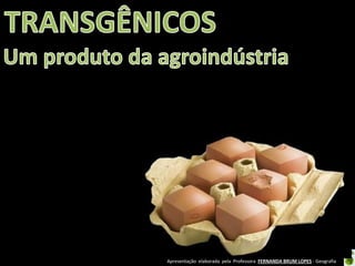 Apresentação elaborada pela Professora FERNANDA BRUM LOPES - Geografia
 