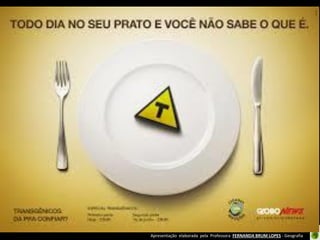 Apresentação elaborada pela Professora FERNANDA BRUM LOPES - Geografia
 