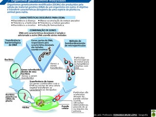 Apresentação elaborada pela Professora FERNANDA BRUM LOPES - Geografia
 