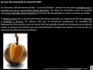 Apresentação elaborada pela Professora FERNANDA BRUM LOPES - Geografia
Por que são produzidos os alimentos GM?
Os alimentos GM são desenvolvidos - e comercializados - porque há uma certa vantagem para o
produtor ou para o consumidor destes alimentos. Isto deve ser entendido como um produto
com preço reduzido, maior benefício (em termos de durabilidade ou valor nutritivo) ou ambos.
O objetivo inicial para o desenvolvimento de plantas baseadas em organismos GM era melhorar
a proteção à lavoura. As culturas GM que se encontram atualmente no mercado são
basicamente direcionadas para um maior nível de proteção através da introdução da resistência
contra as doenças das plantas que são principalmente causadas por insetos ou vírus ou por um
aumento da tolerância aos herbicidas.
 