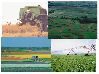 ESPAÇO RURAL Atualmente com a biotecnologia, nanotecnologia e principalmente os OGM (transgênicos) o mundo dá um novo salto em produtividade, sem contudo, resolver o problema da fome planetária. 