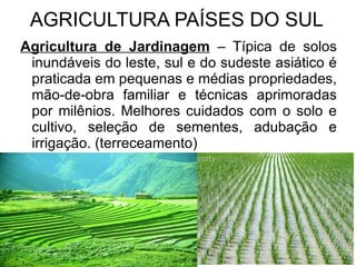 Aplicações: alimentos, remédios e nutrientes, locais de difícil produção. Resolver a fome no mundo? 