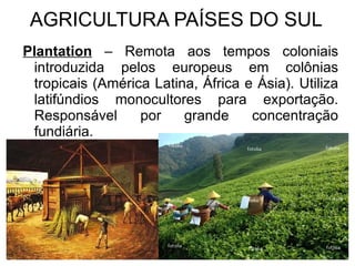 Você consome transgênicos? 