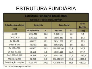 Melhores terras para agricultura de exportação. Incentivos governamentais, domínio de multinacionais; 