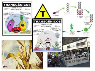 ESPAÇO RURAL Após a Segunda Guerra Mundial, em especial nas décadas de 1960 e 1970, ocorreu a chamada  Revolução Verde , com o uso intensivo de defensivos agrícolas, melhoramento genético alcançando grande produtividade, suficiente para alimentar toda a humanidade. 