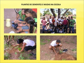 PLANTIO DE SEMENTES E MUDAS NA ESCOLA 