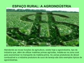 ESPAÇO RURAL: A AGROINDÚSTRIA
Atendendo as novas funções da agricultura, existe hoje a agroindústria, tipo de
indústria que, além de utilizar matérias primas agrícolas, instala-se na zona rural
para economizar no transporte da matéria-prima. As usinas produtoras de álcool
combustível e a indústria produtora de suco de laranja são dois exemplos típicos de
agroindústrias.
 