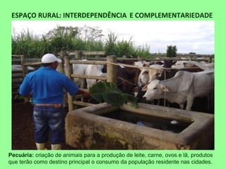 ESPAÇO RURAL: INTERDEPENDÊNCIA E COMPLEMENTARIEDADE
Pecuária: criação de animais para a produção de leite, carne, ovos e lã, produtos
que terão como destino principal o consumo da população residente nas cidades.
 