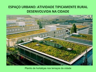 ESPAÇO URBANO: ATIVIDADE TIPICAMENTE RURAL
DESENVOLVIDA NA CIDADE
Plantio de hortaliças nos terraços da cidade
 