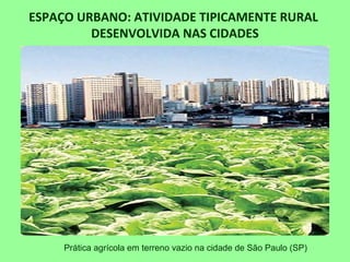 ESPAÇO URBANO: ATIVIDADE TIPICAMENTE RURAL
DESENVOLVIDA NAS CIDADES
Prática agrícola em terreno vazio na cidade de São Paulo (SP)
 