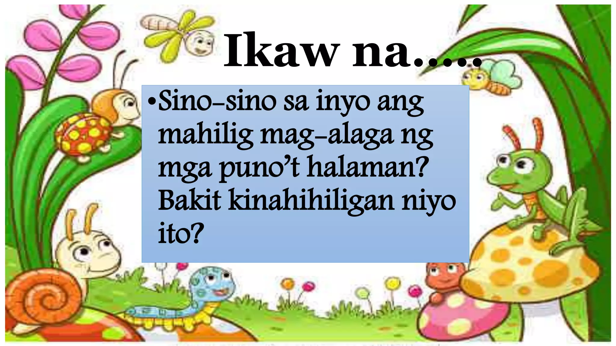 Ikaw na…..
•Sino-sino sa inyo ang
mahilig mag-alaga ng
mga puno’t halaman?
Bakit kinahihiligan niyo
ito?
 