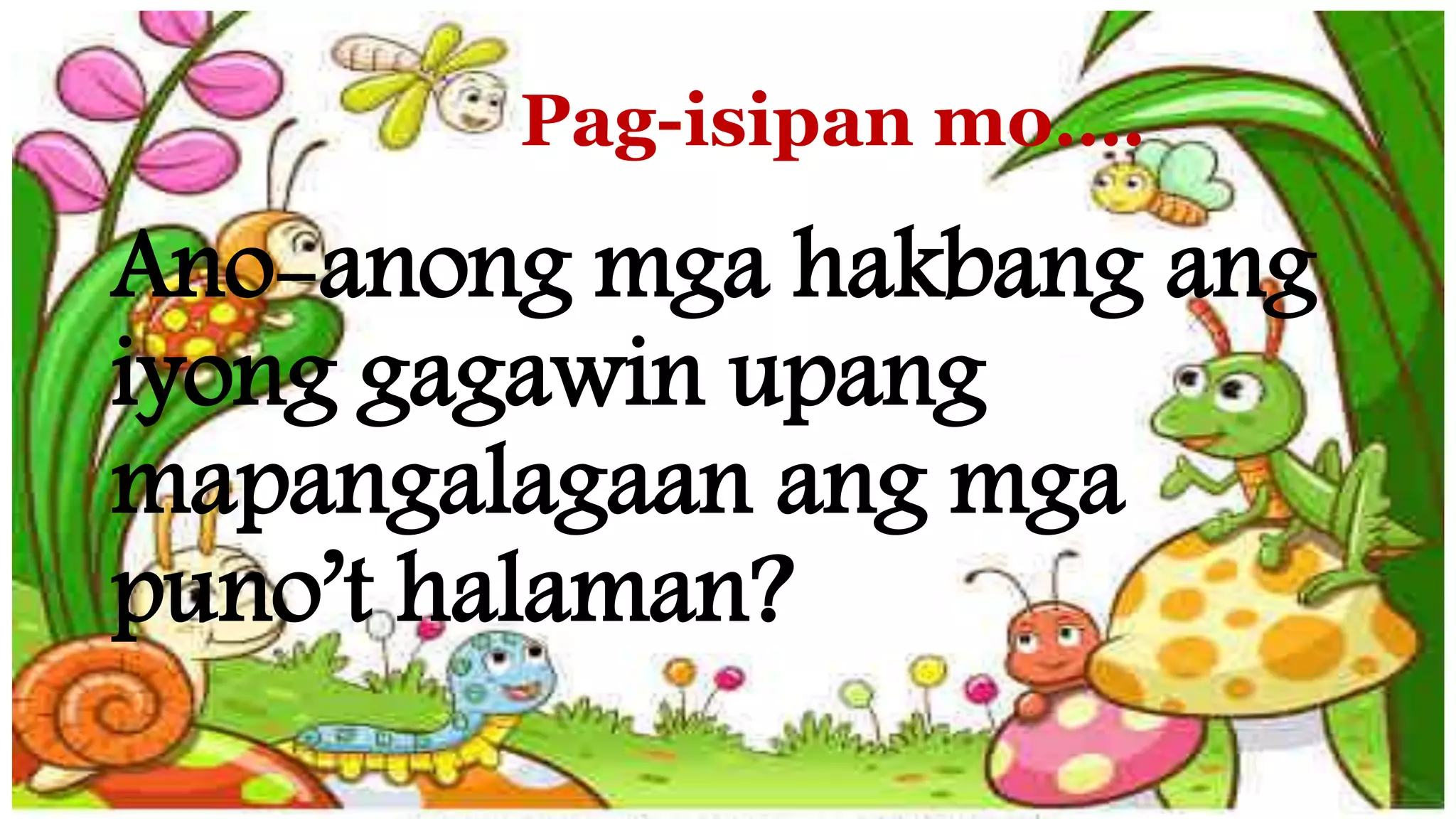 Pag-isipan mo….
Ano-anong mga hakbang ang
iyong gagawin upang
mapangalagaan ang mga
puno’t halaman?
 