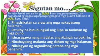 Panuto: Isulat ang salitang TAMA kung ang pangungusap ay
nagsasaad ng pagkalinga/pangangalagasa mga puno’t halaman at
MALI kung hindi.
1. Pinasisikatan sa araw ang mga nakapasong
halaman.
2. Patuloy na binubungkal ang lupa sa taniman ng
mga puno.
3. Isinasagawa nang madalas ang Kaingin sa bukirin.
4. Hinahayaang malanta ang dahon ng mga halaman.
5. Nilalagyan ng organikong pataba ang mga
pananim.
 