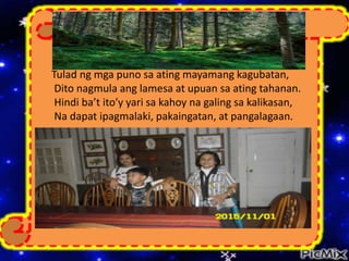 Tulad ng mga puno sa ating mayamang kagubatan,
Dito nagmula ang lamesa at upuan sa ating tahanan.
Hindi ba’t ito’y yari sa kahoy na galing sa kalikasan,
Na dapat ipagmalaki, pakaingatan, at pangalagaan.
 