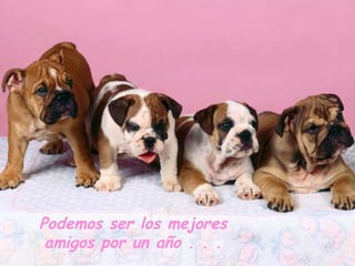 Podemos ser los mejores amigos por un año . . . 