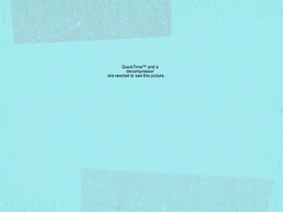 QuickTime™ and a
decompressor
are needed to see this picture.
 